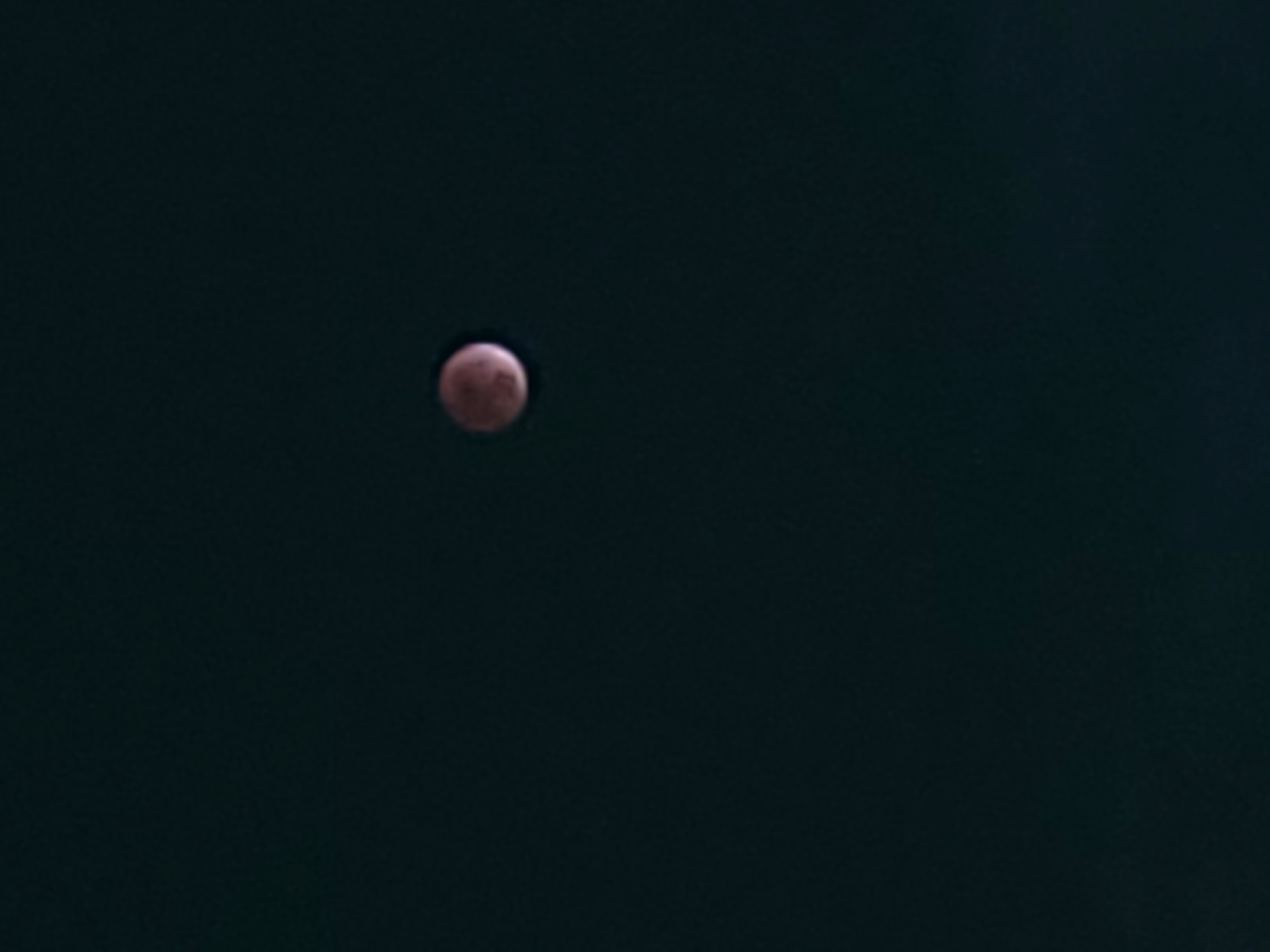 공부하기엔 재밌는 게 너무 많음