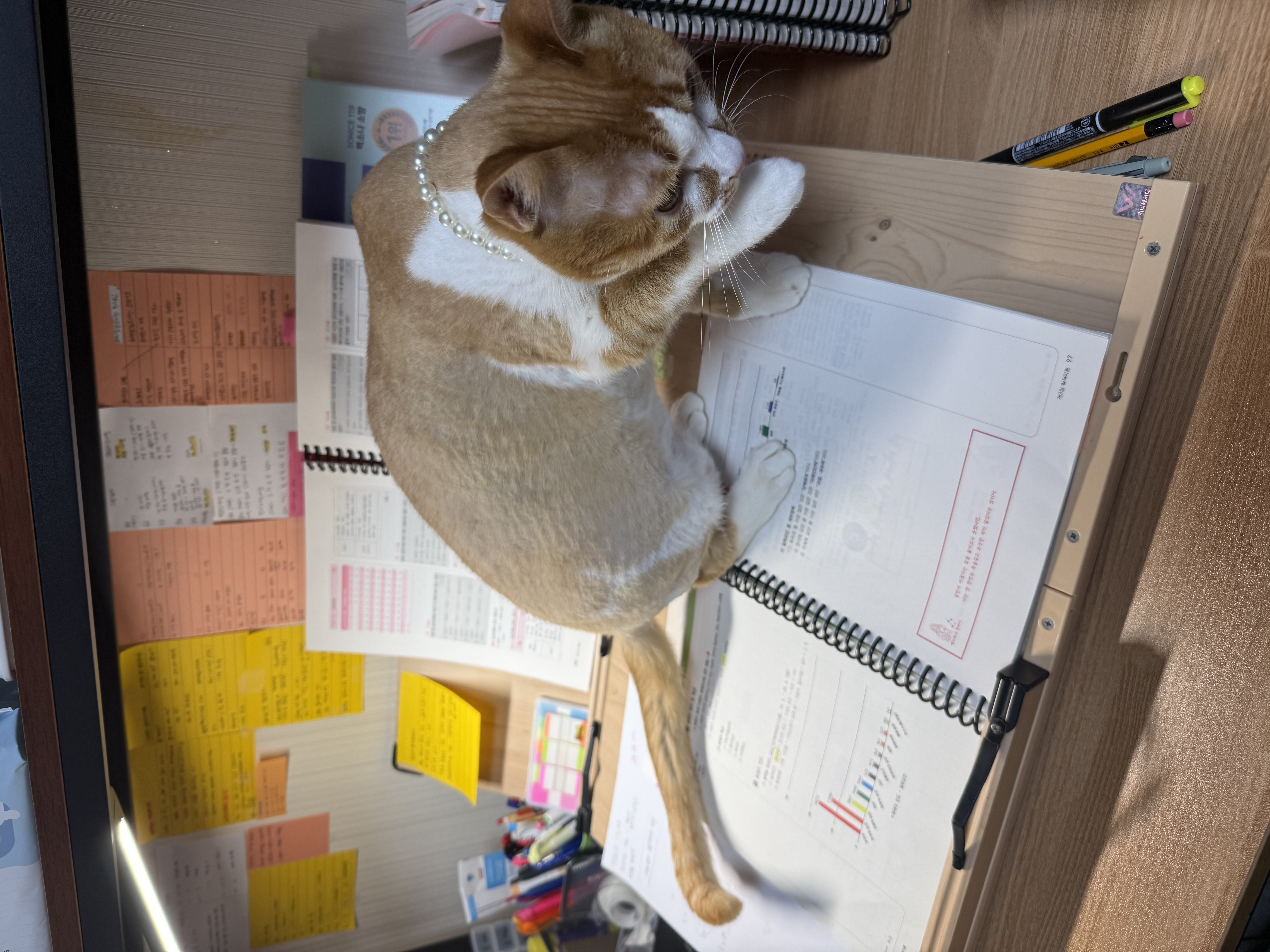 지방직 휴직 1.9일 이후