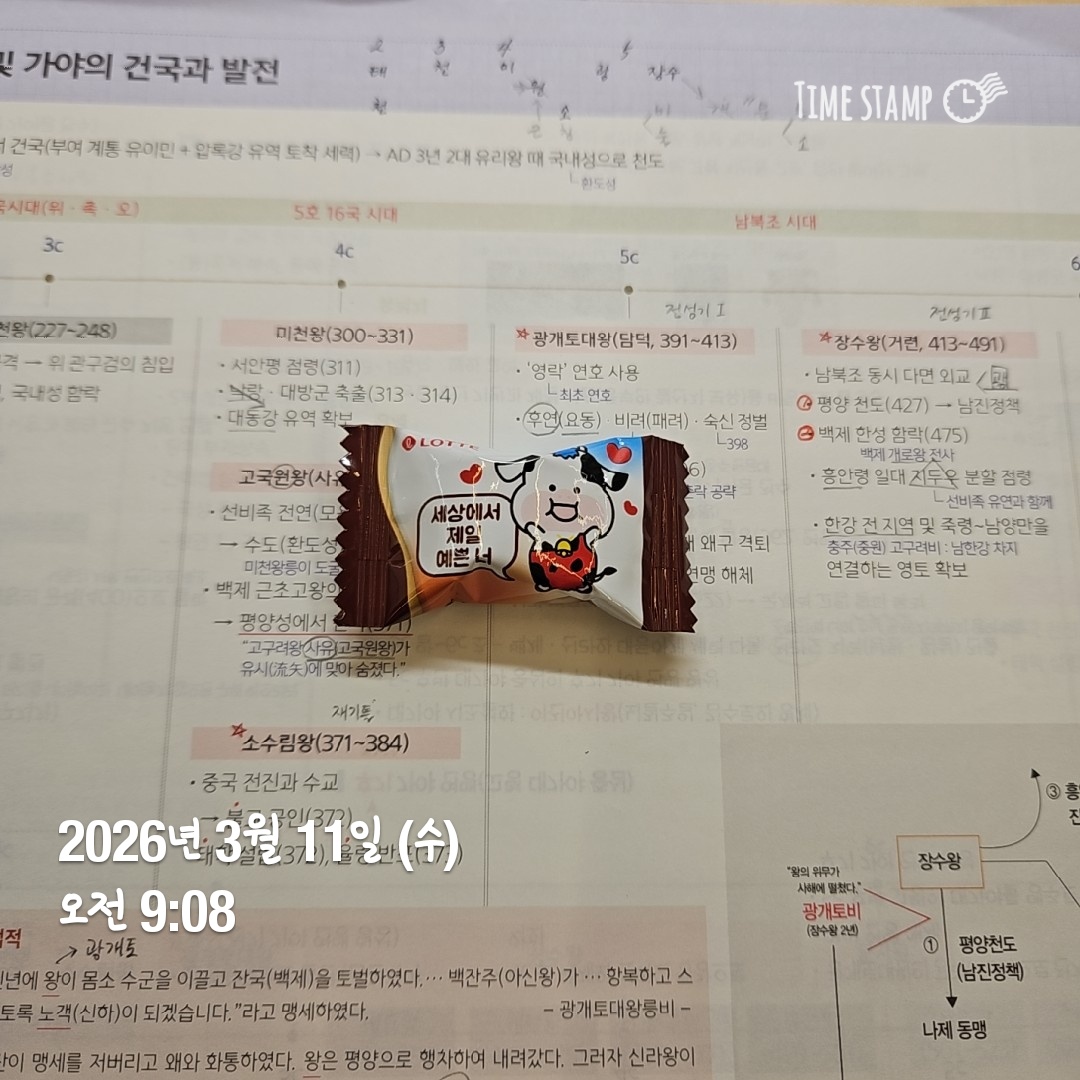 3월 11일 착석/ 말랑카우 빠삐코맛