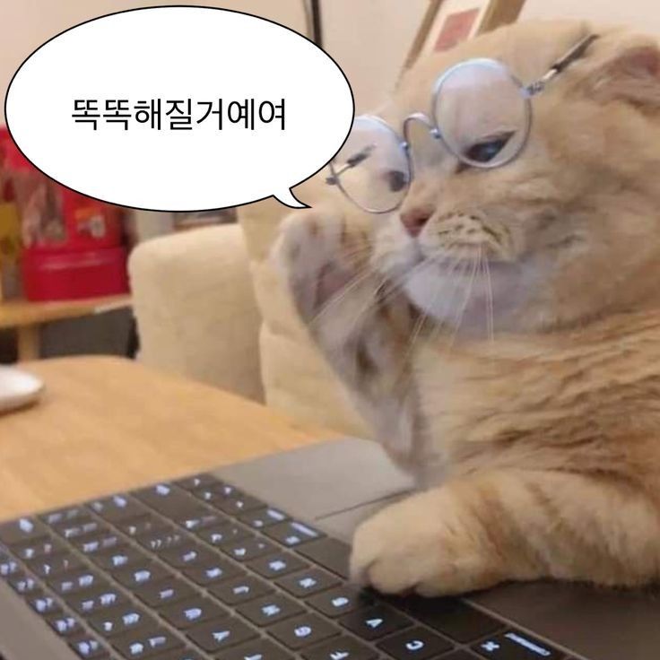 3월 14일 공부/ 최애과목??