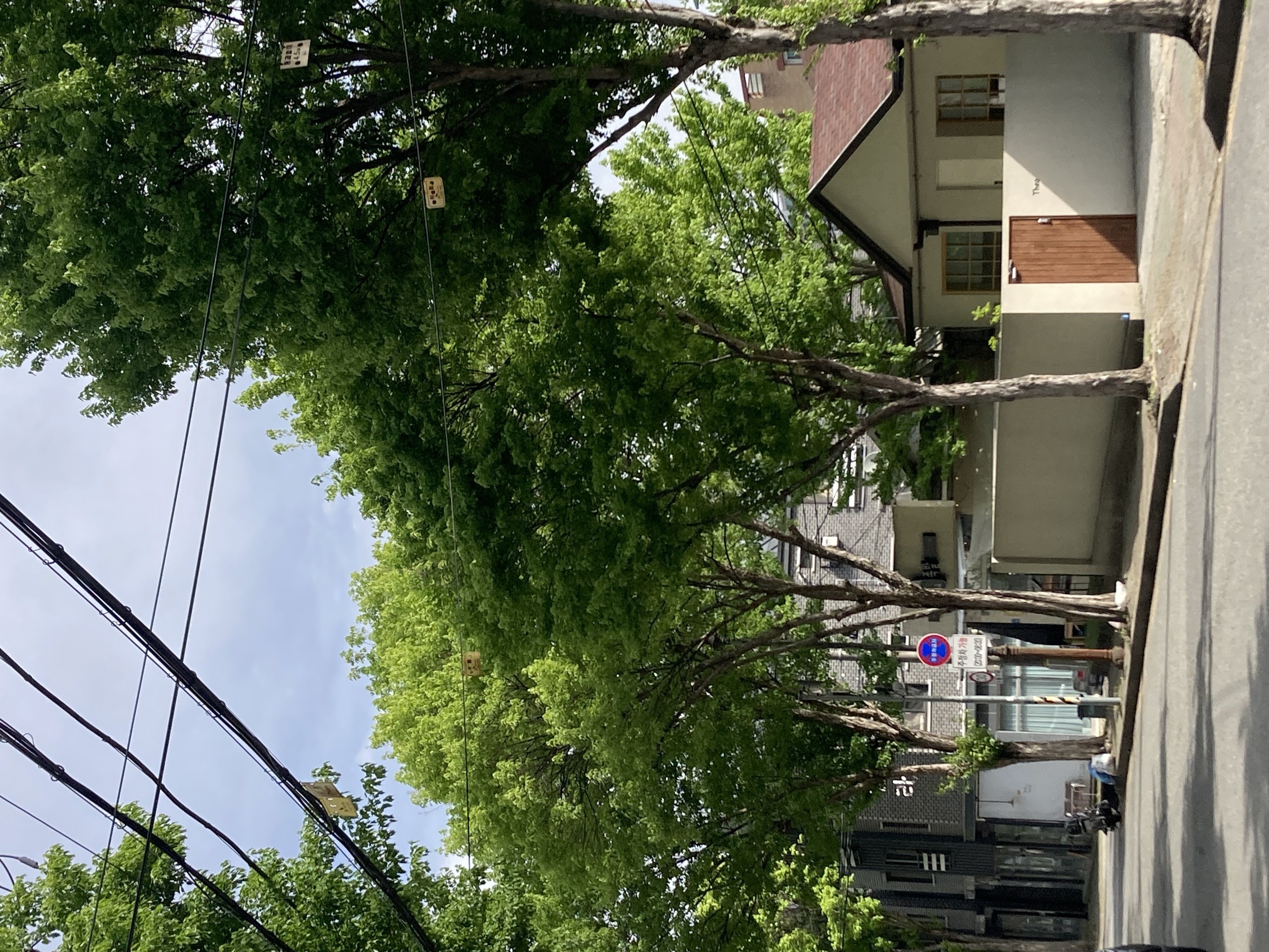 푸릇푸릇🌱