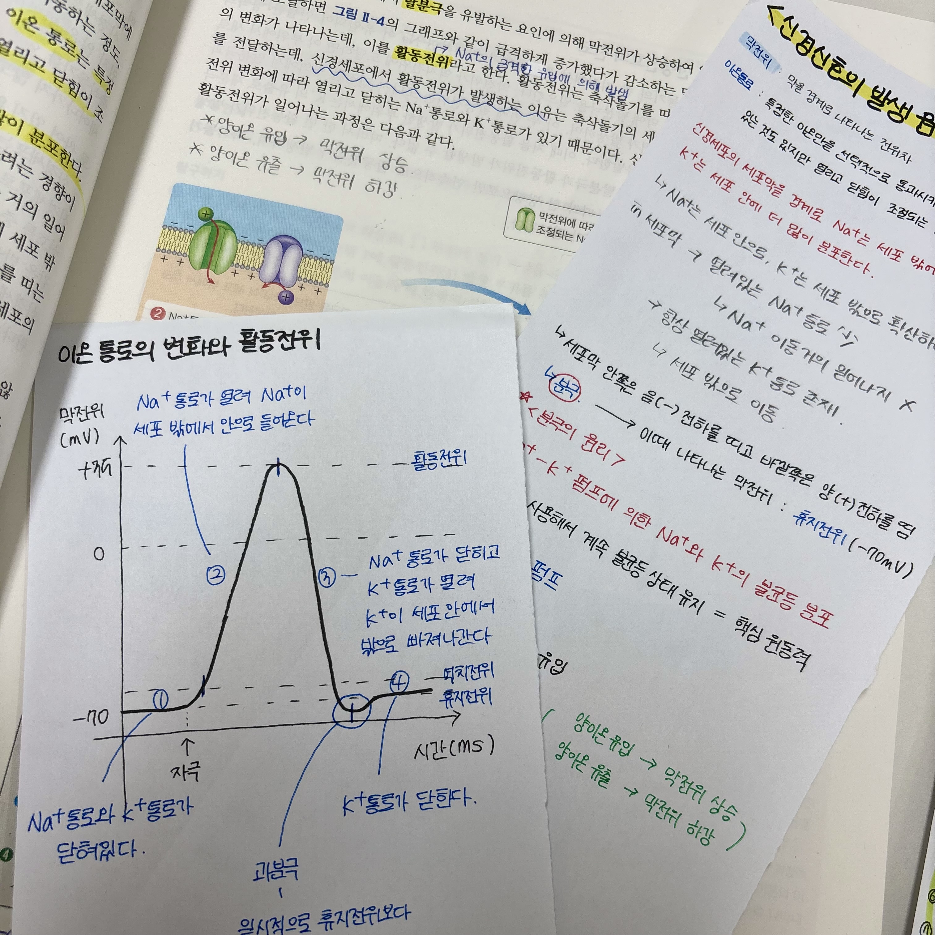 시험 끝!! 연휴 일상😆