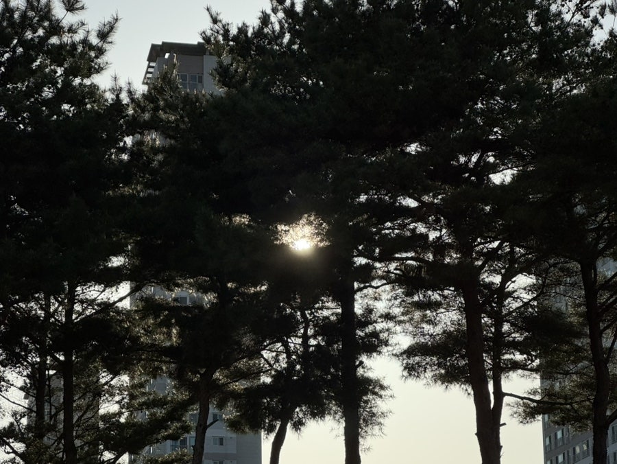 살려는 용기가 우리의 무기