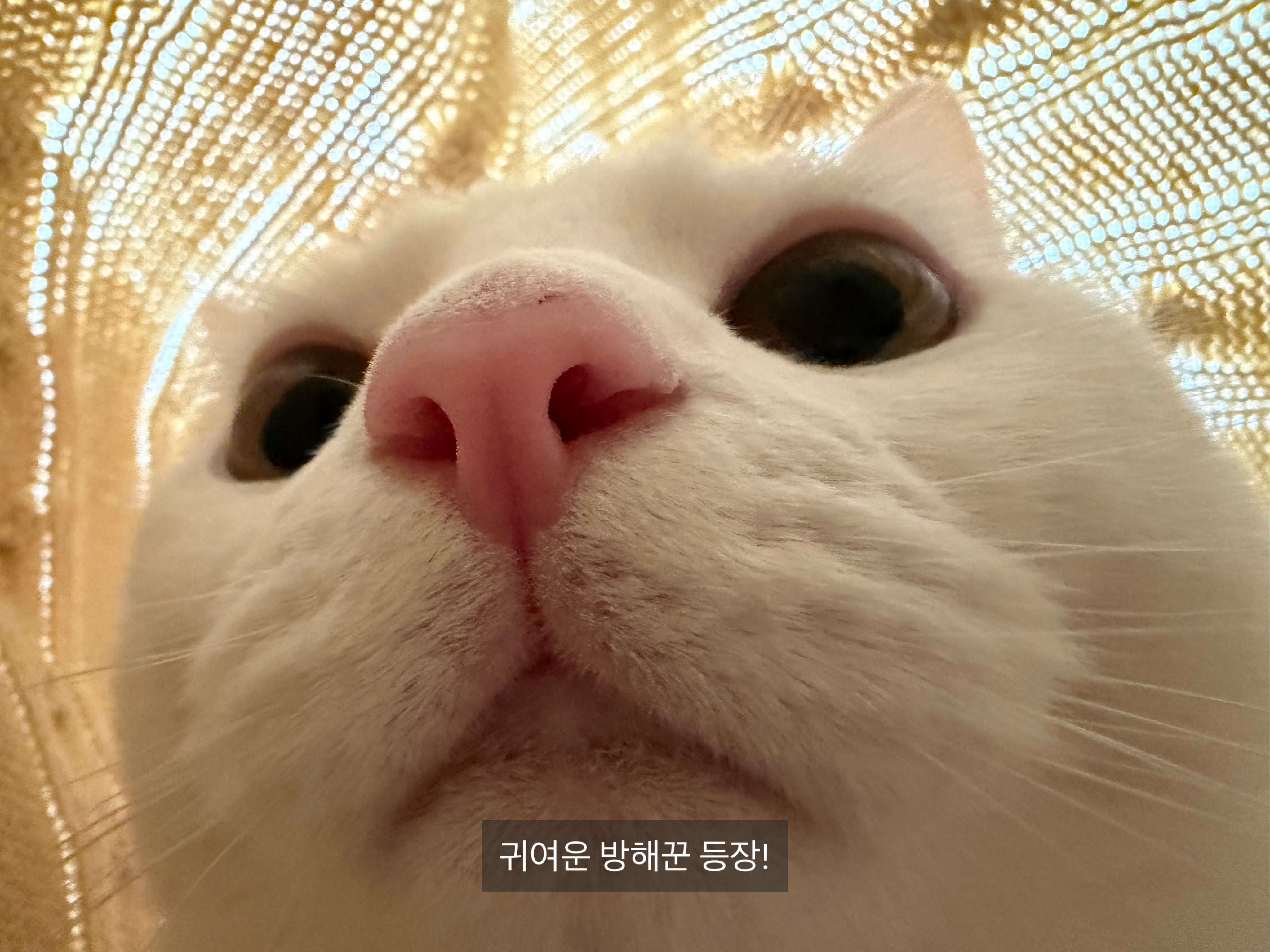 공시생의 현실일상