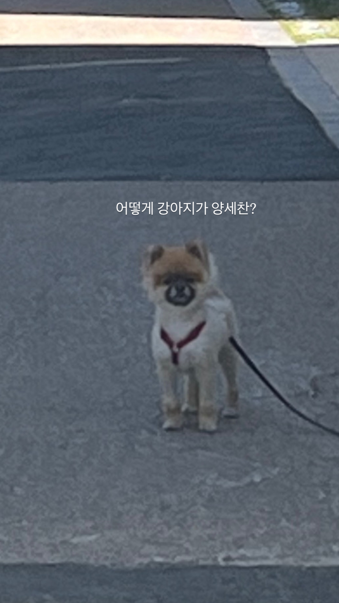 멘탈을 잡자 😖