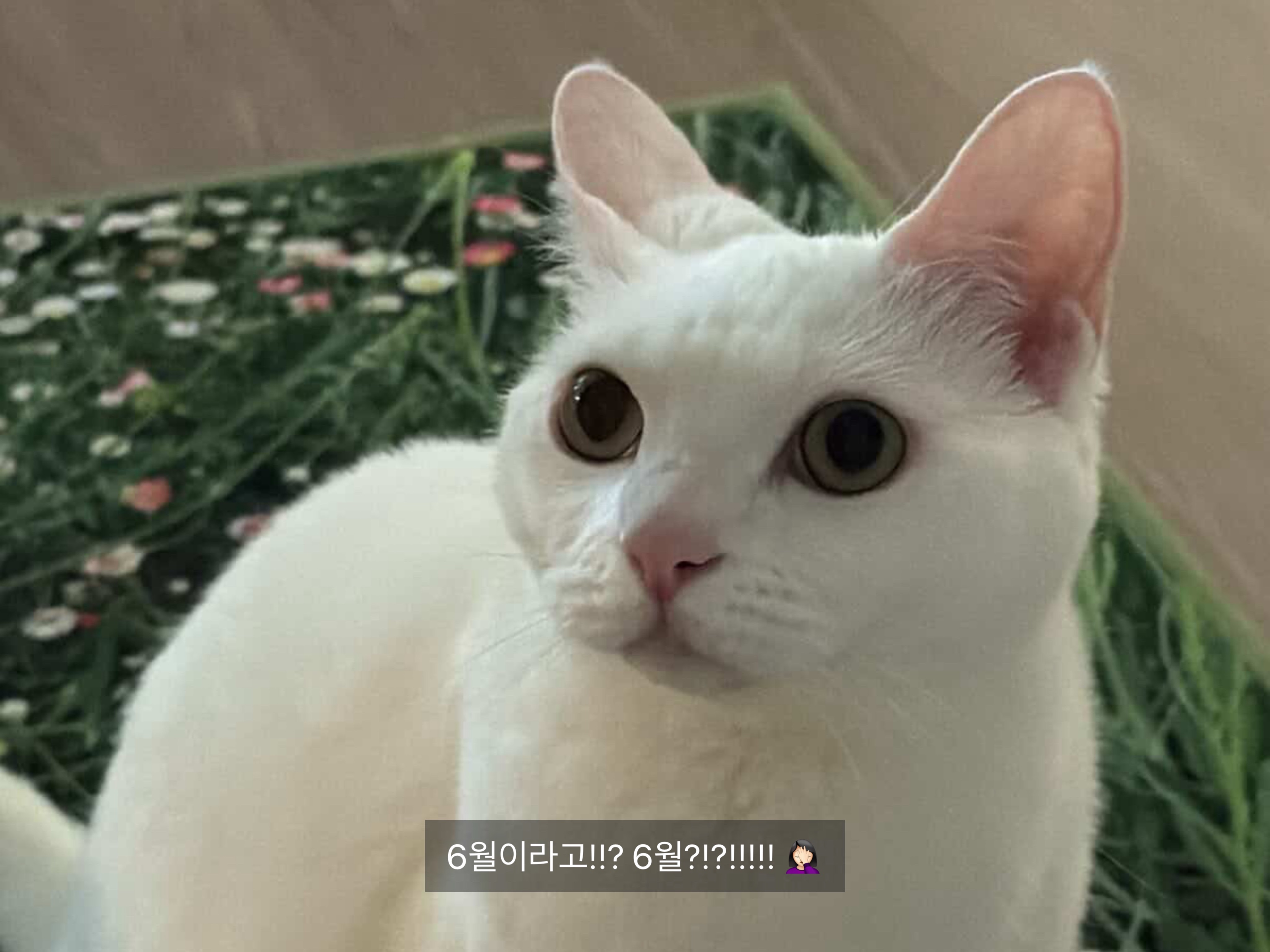 ‘될놈될’ 마인드로 끝까지🔥