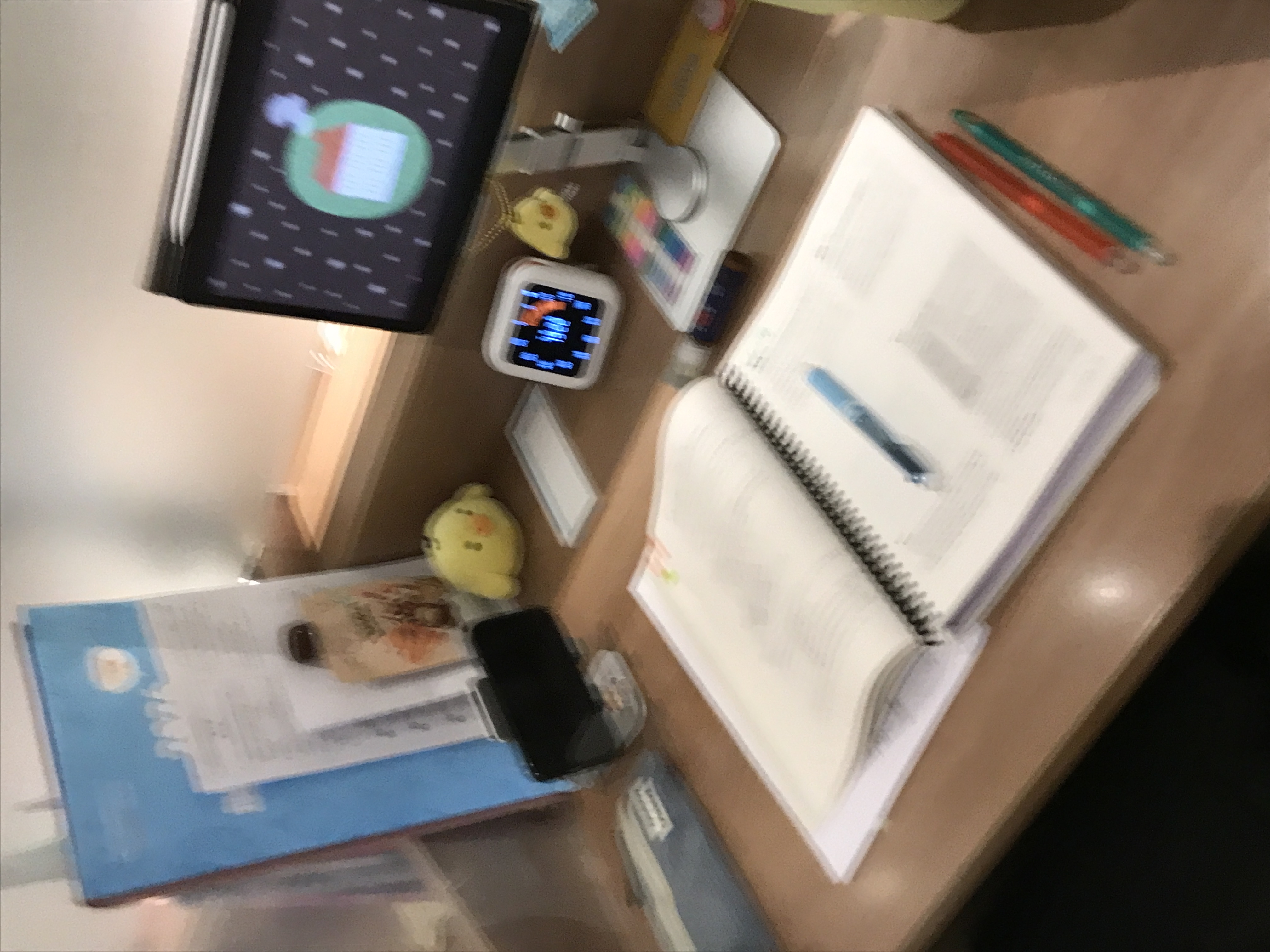 정신없눈 일상