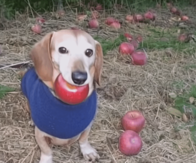 ㅎㅎ
